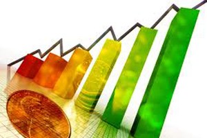 Cổ phiếu ruồi lên ngôi